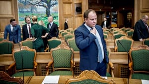 DF-profiler står til at ryge ud af Folketinget