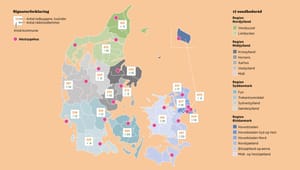 Store forskelle mellem regeringens 17 nye sundhedsråd