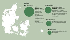 Det omvendte Dalgas-Danmarkskort: Fra opdyrkede marker til vild natur