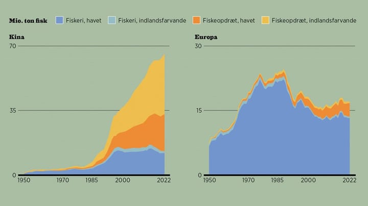 Fakta: Europa fanger sine fisk, Kina opdrætter dem